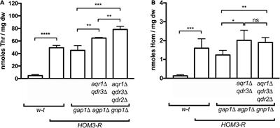 Overlapping Roles of Yeast Transporters Aqr1, Qdr2, and Qdr3 in Amino Acid Excretion and Cross-Feeding of Lactic Acid Bacteria